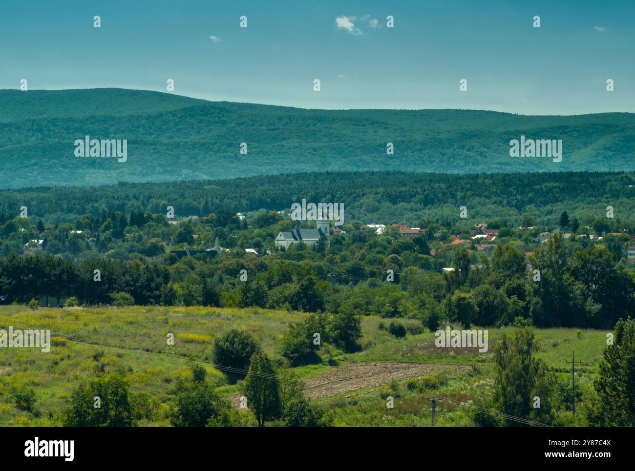 Die Landschaft des bewohnten Wisloka River Tals in der Region Subkarpaten. Polen, Sommer, Tag Stockfoto