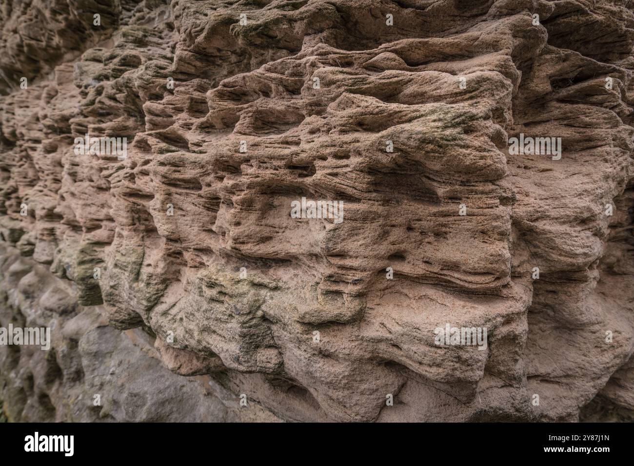Detail einer verwitterten Sandsteinwand. Stockfoto