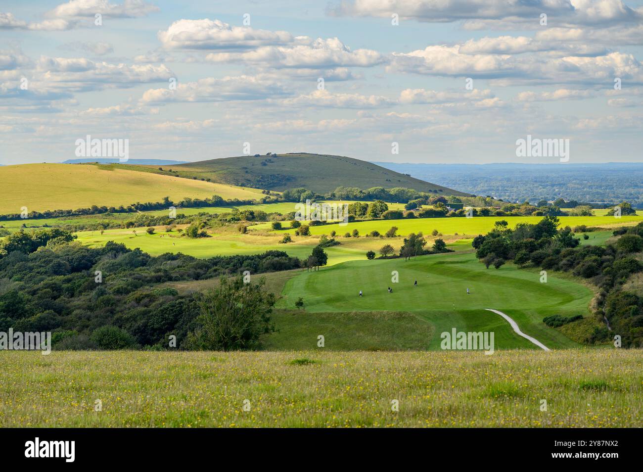 Blick über Felder, Weiden und Wälder in Richtung Pyecombe Golfplatz und Woolstonbury Hill im South Downs National Park, Sussex, England. Stockfoto Blick über Felder, Weiden und Wälder in Richtung Pyecombe Golfplatz und Woolstonbury Hill im South Downs National Park, Sussex, England. Stockfoto