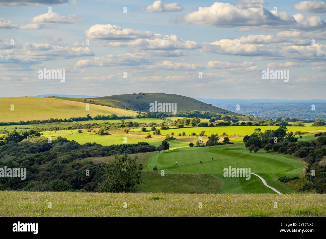 Blick über Felder, Weiden und Wälder in Richtung Pyecombe Golfplatz und Woolstonbury Hill im South Downs National Park, Sussex, England. Stockfoto Blick über Felder, Weiden und Wälder in Richtung Pyecombe Golfplatz und Woolstonbury Hill im South Downs National Park, Sussex, England. Stockfoto