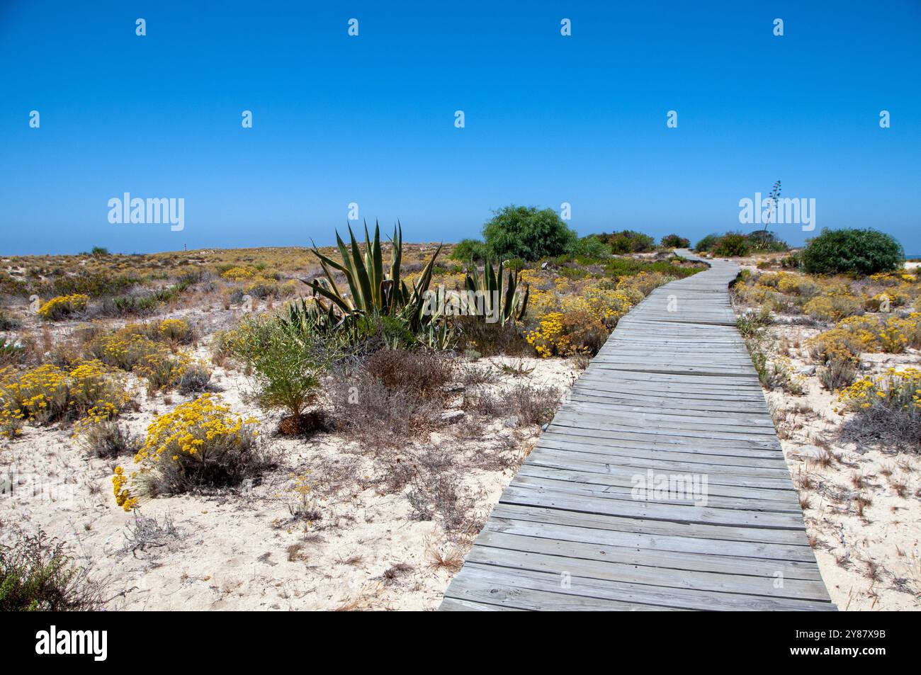 Ilha Deserta - Faro - Portugal Stockfoto
