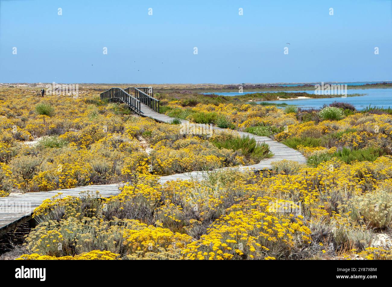 Ilha Deserta - Faro - Portugal Stockfoto