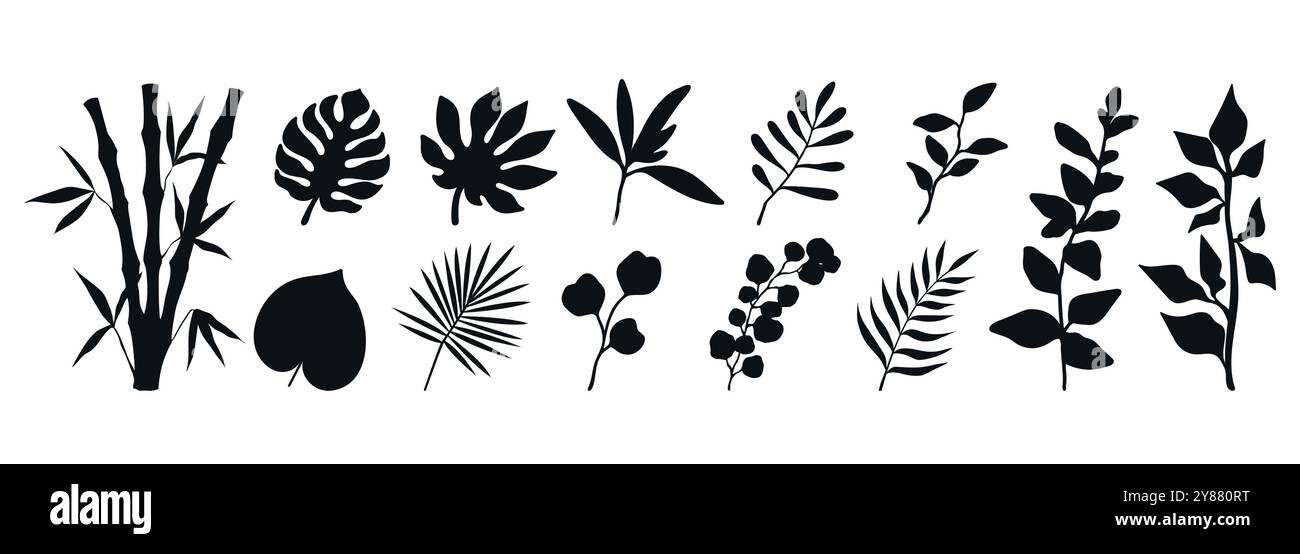 Set aus verschiedenen Pflanzensilhouetten. Zweige, Blätter und botanische Elemente isoliert auf weißem Hintergrund. Vektorabbildung Stock Vektor