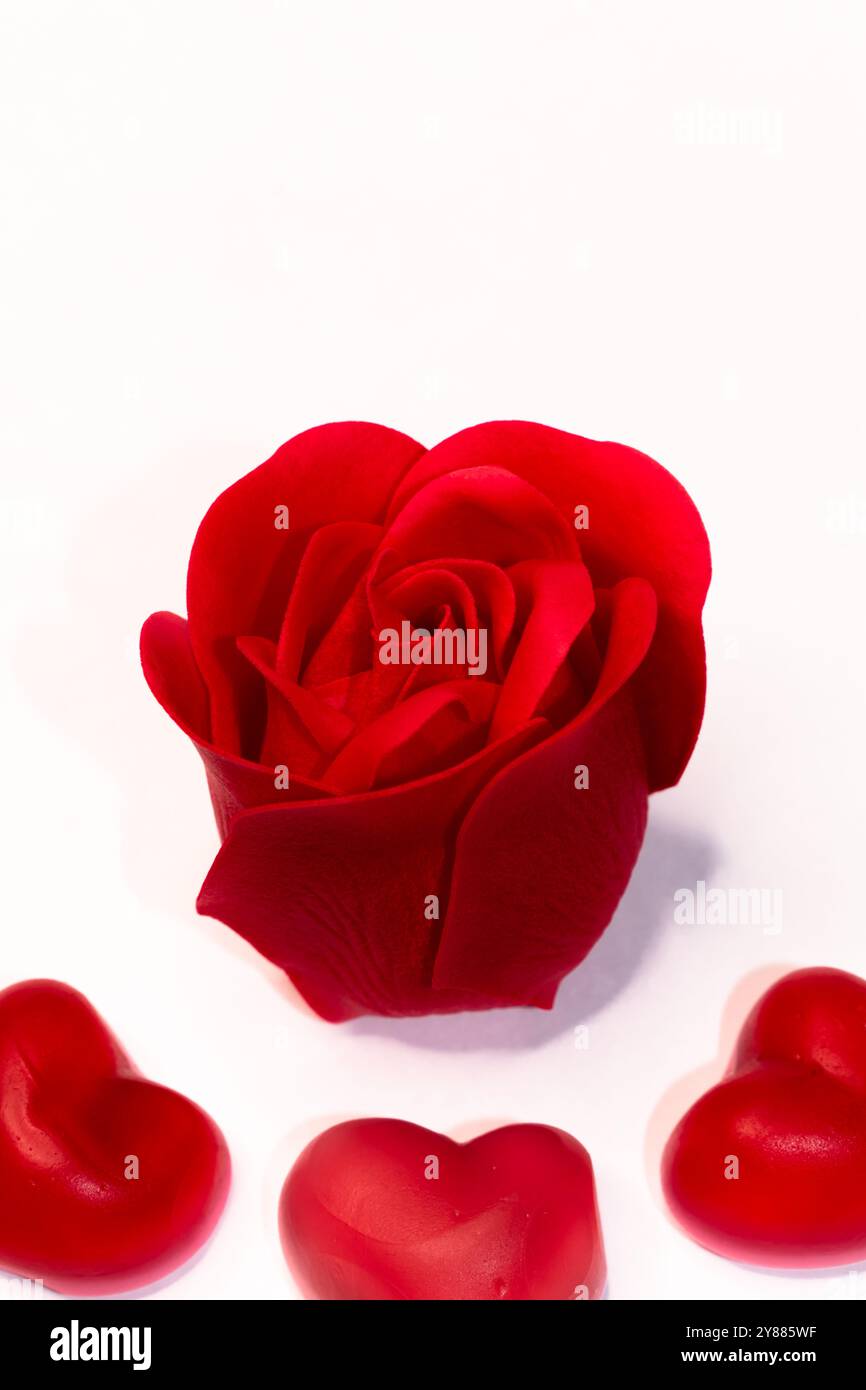 Schöner valentinstag Hintergrund, Freundin, Geschenkidee, Liebeskarte Design, herzförmige rote Gelee mit roter Rose auf weißem Hintergrund, Stockfoto