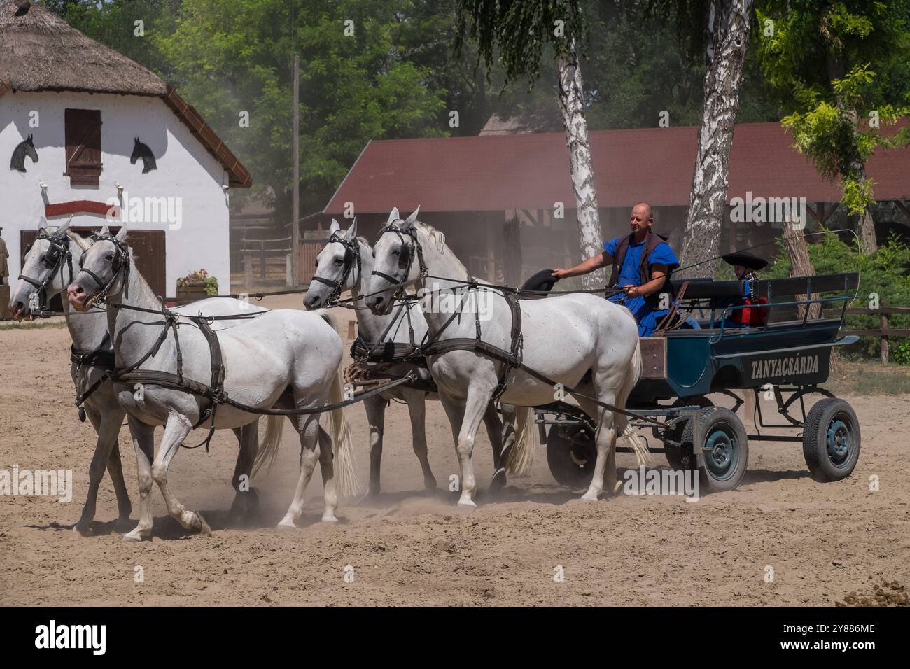 Pferdewagen auf einem Bauernhof in Puszta, Ungarn Stockfoto