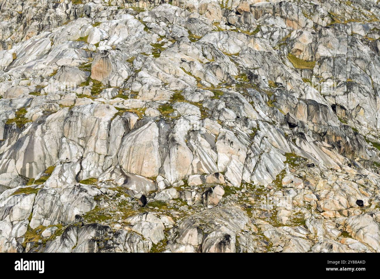 Abstraktes Muster auf der Felswände aus Granit an der Seite eines Fjords im Prince Christian Sound in Grönland Stockfoto