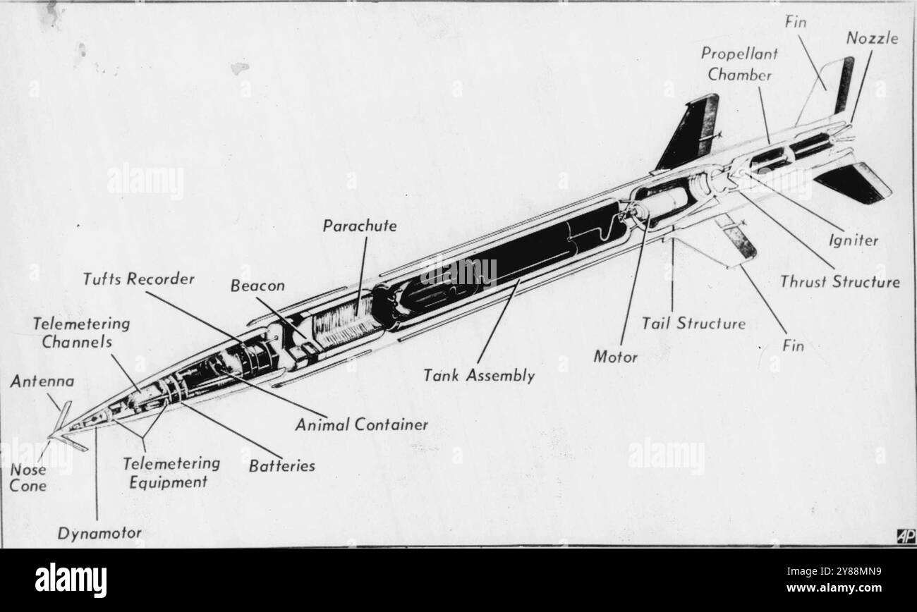 Diagramm der Rakete, die Säugetiere fast keine Meilen in den Weltraum brachte -- Dies ist ein Diagramm der Aero Jet Aerobee Höhenforschungsrakete, die von der Air Force benutzt wurde, um Säugetiere ungefähr 40 Mühlen in die obere Atmosphäre zu transportieren, um ihre Reaktionen unter extremen Höhenbedingungen und Schwerelosigkeit zu testen. Die Luftwaffe erklärte die Schwerelosigkeit als den schwerelosen Zustand, der auf dem Kamm der Flugbahn bei Raketenflügen angetroffen wurde. Die Luftwaffe sagte heute, dass zwei Affen und zwei Mäuse lebend, unverletzt und bei guter Gesundheit nach Tests auf der Holloman Air Force Base, Alamogordo, N.C. geborgen wurden Stockfoto