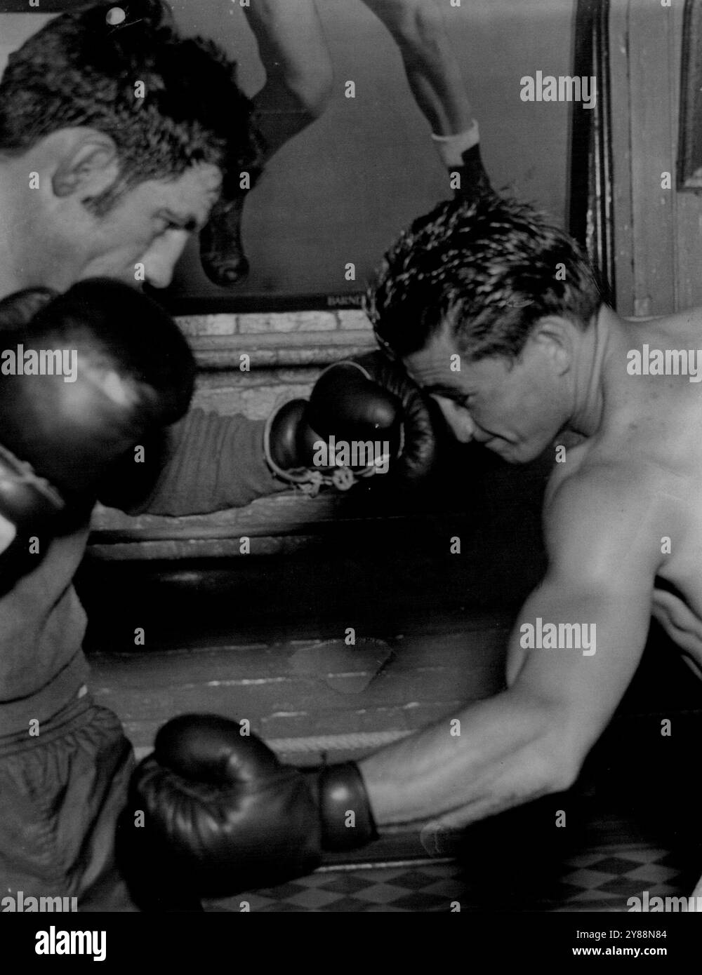 Welter-Champion George Barnes stoppt eine Linke von Don Bronco” Johnson während des Trainings für die Titelverteidigung gegen Tommy Burns am kommenden Montag. November 1953. Stockfoto