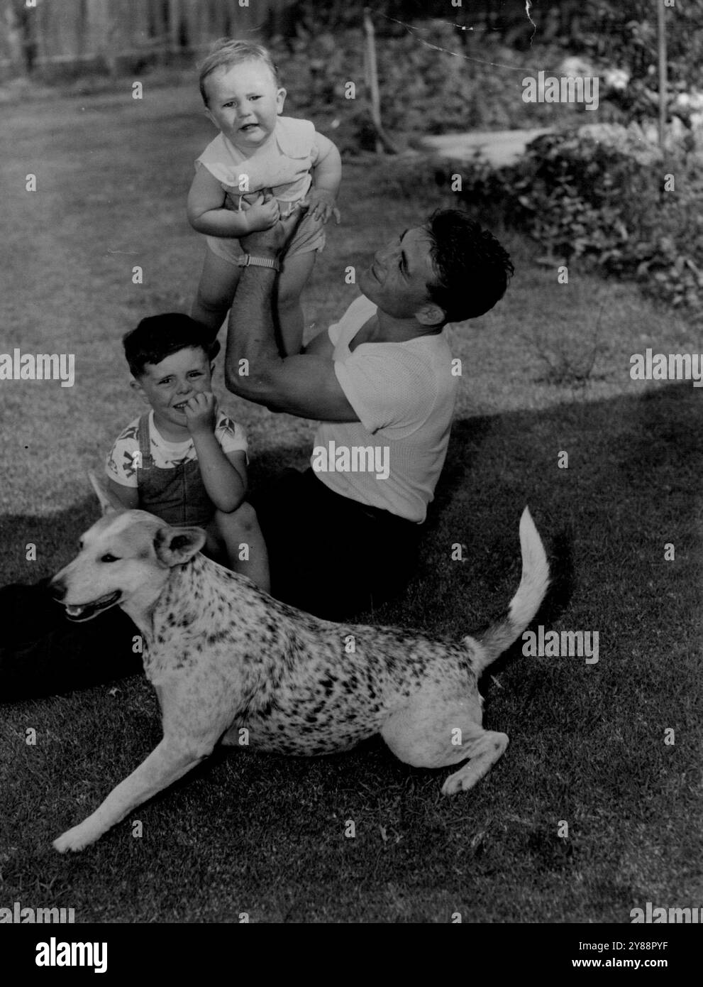 George Barnes verteidigt seinen Boxtitel im Empire Welter ­weight gegen den westafrikanischen Attu Clottey am kommenden Montagabend im Sydney Stadium. Währenddessen findet George Zeit zwischen den Trainingseinheiten, um sich mit seiner Familie zu entspannen. Er hält Wayne, 15 Monate, mit seinem anderen Sohn Robert, 4, und ihrem Viehhund Mitzi auf dem Rasen in ihrem Drummoyne-Haus auf. November 1955. Stockfoto