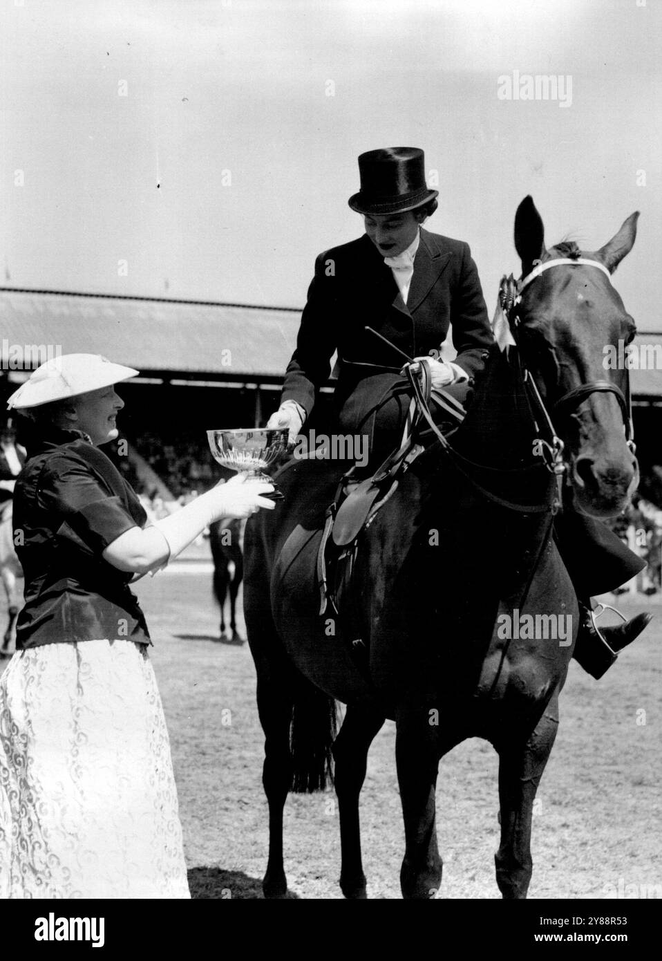 Die International Horse Show, White City Stadium -- die Herzogin von Beaufort präsentiert den Challenge Cup für Damen Hacks an Miss Paula **** Von Dunsley Dene, in der Nähe von Stourbridge (Worcs), ***** Ein Kastanienwallach, 10 Jahre alt gezüchtet ***** W. W. Hallsmarch, Wolverhampton. Heute besuchten große Menschenmassen das White City Stadium (London), wo die 33. Internationale Horse Show, an der Wettbewerber aus vielen Nationen teilnehmen, heute Dienstag, den 20. Juli, an ihrem zweiten Tag stattfindet. Juli 1954. Stockfoto