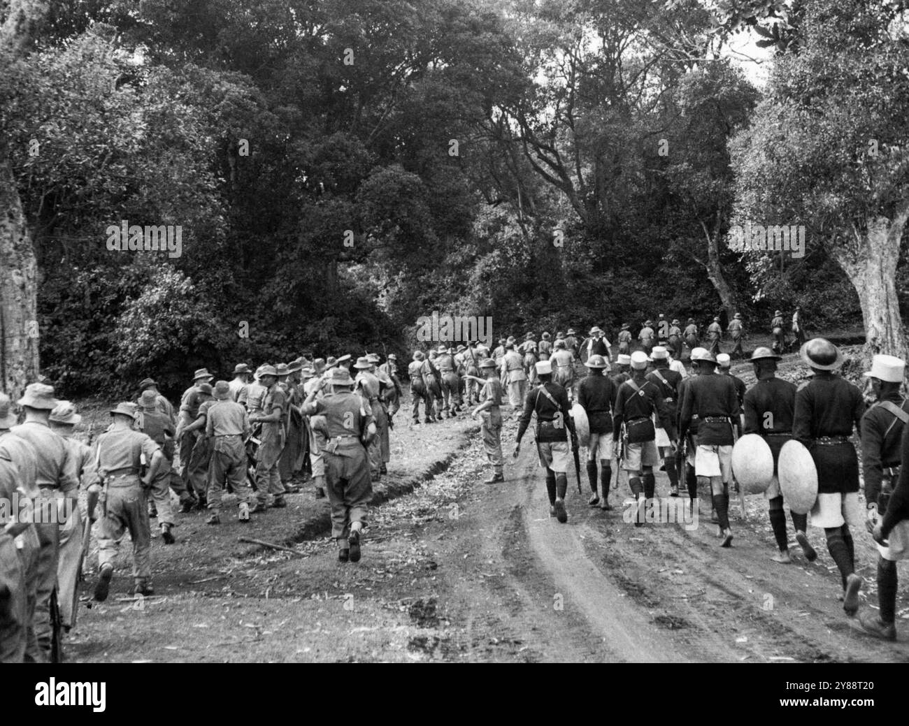 Die Lancashire Fusiliers, die jetzt in Fort Hall im Kikuyu Reservat liegen, gingen auf ihre erste Mau Mau Patrouille in einem großen Wald in der Nähe. Der Stamm der Kikuyu betrachtet ihn als heiligen Wald, sodass die Mitglieder der Mau Mau ihn als ein gutes Versteck empfanden. Aber die Armee mit dem Kenia Reserve Regiment fand nur zwei mutmaßliche Mau Mau. November 1952. Stockfoto