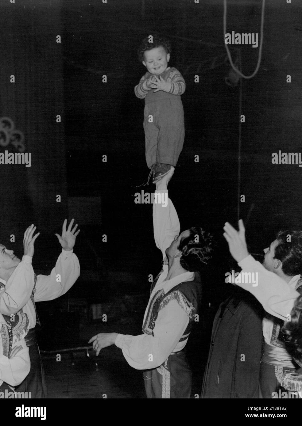 Das jüngste Teammitglied hat eine leichte Aufgabe. Enkel Neville. Sobald man in die Ashton-Familie geboren ist, muss man schnell anfangen, Tricks zu lernen. Wenn nicht, bist du kein Ashton. Juni 1952. (Foto: Hans Gerber). Stockfoto