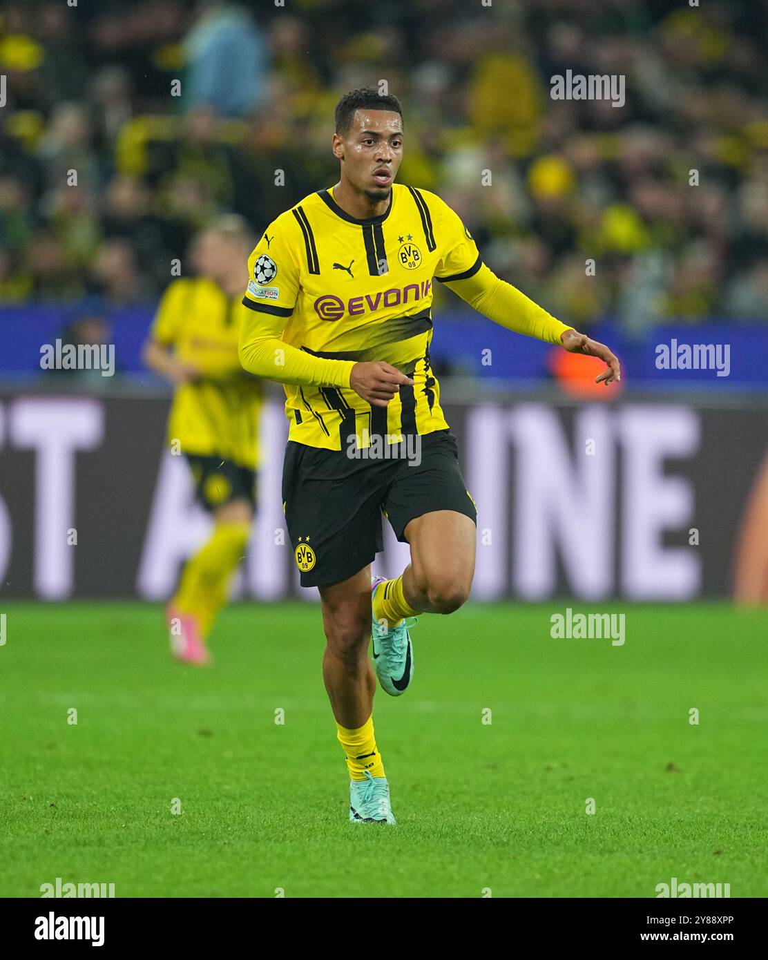 Dortmund, Deutschland. 1. Oktober 2024. Felix Nmecha von Borussia Dortmund während des MD2-Spiels zwischen Borussia Dortmund und Celtic im Signal Luna Park, Dortmund. Quelle: Ulrik Pedersen/Alamy Stockfoto