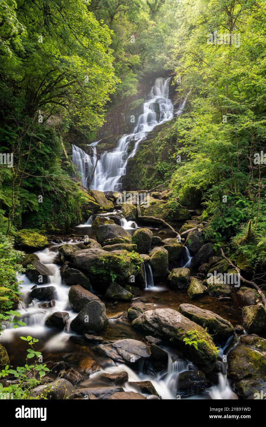 Torc Wasserfall umgeben von üppigem Grün in County Kerry Stockfoto