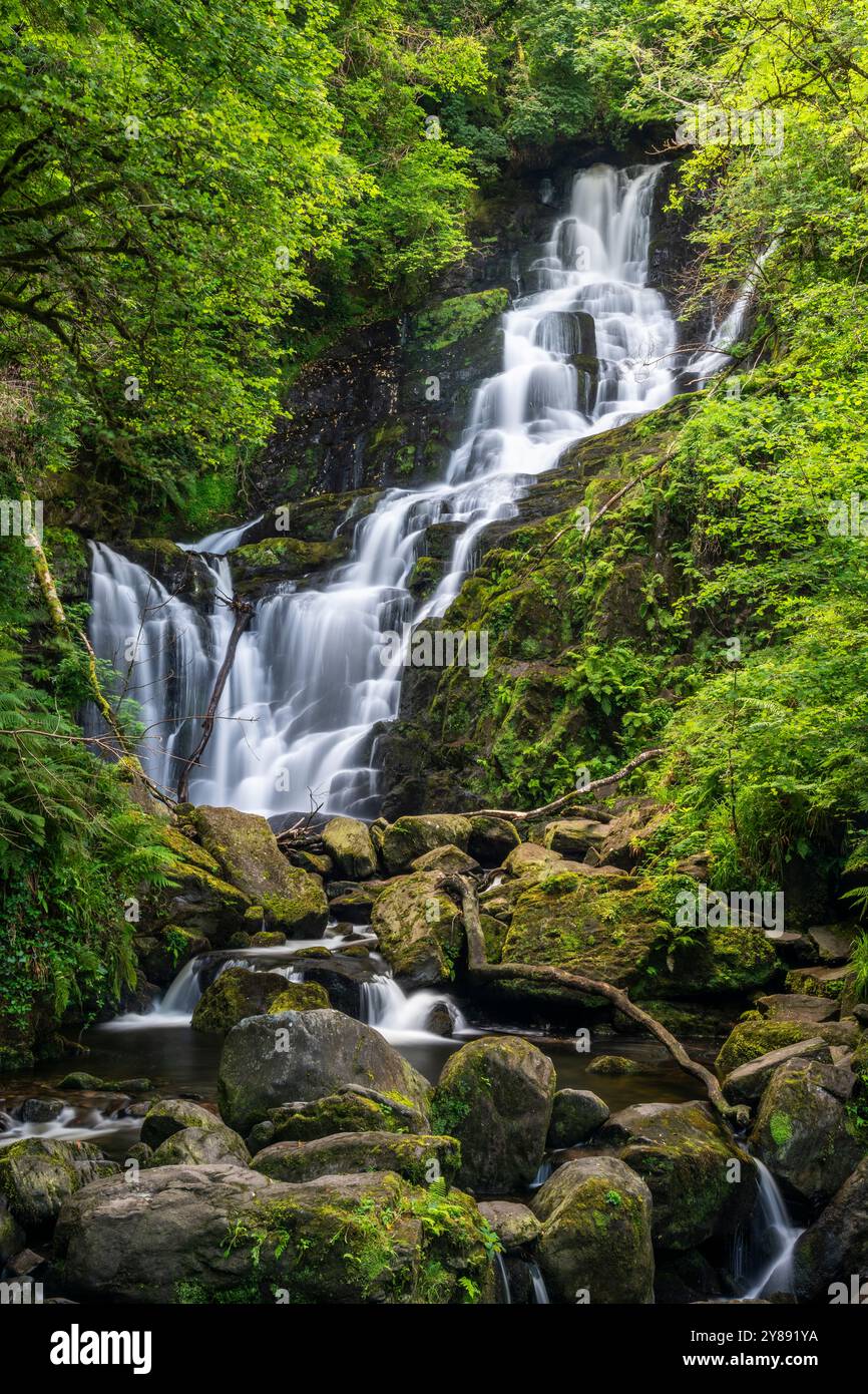Torc Wasserfall umgeben von üppigem Grün in County Kerry Stockfoto
