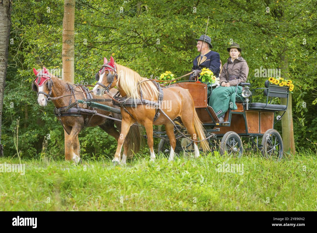 Präsentation und Streckenfahrt, alle Kutschen in stilvoller Spannung, beliebtes Sportereignis über ca. 30 km Eine Veranstaltung des Reit- und Fahrvereins M Stockfoto