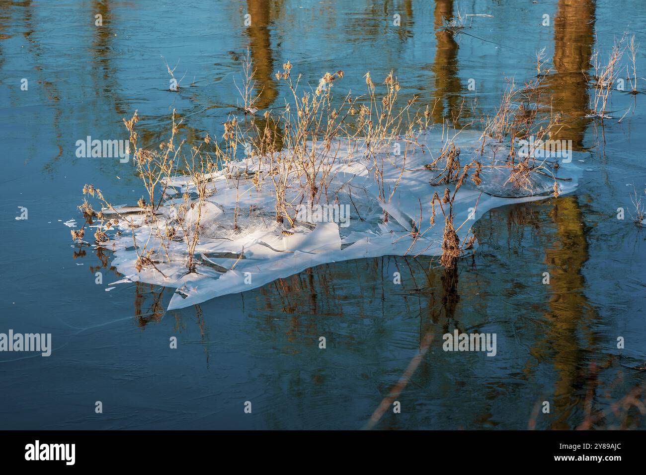 Überflutete Felder im Winter in Deutschland Stockfoto