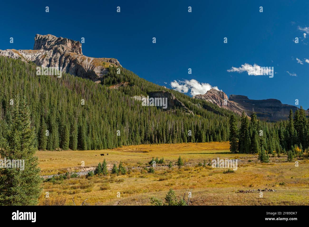 In der Nähe von Far: Precipice Peak, Redcliff und Coxomb Peak, hoch oben im Cimarron River Country von Colorado. Stockfoto