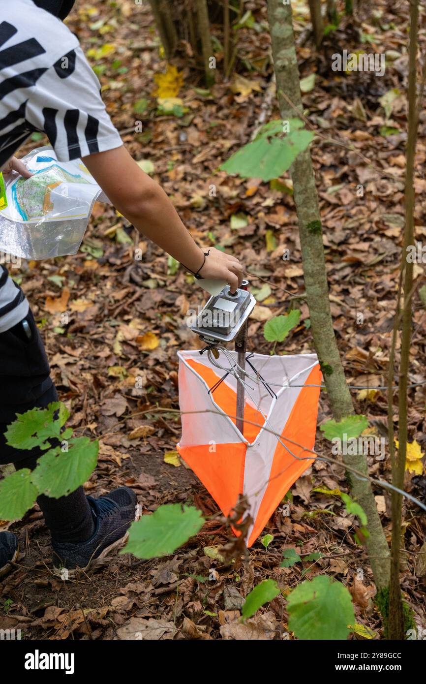 Ein Mann, der nahe am Kontrollpunkt der Orientierung schlägt. Mann im Wald, der zu einem Kontrollpunkt kommt. Selektiver Fokus Stockfoto