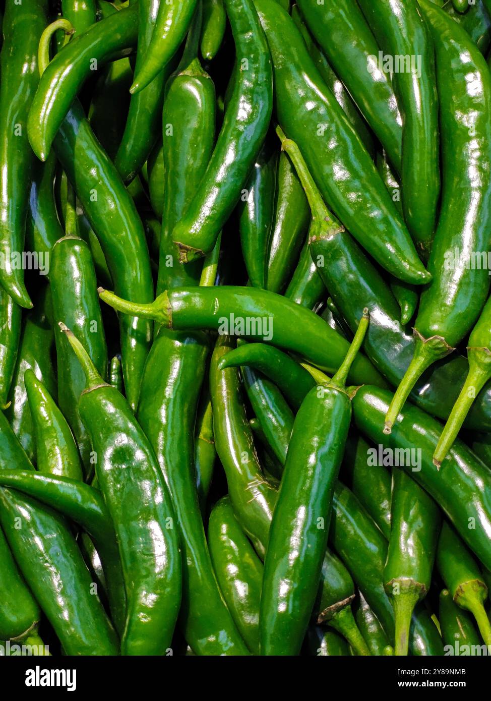 Grüne Chili-Paprika zum Verkauf auf dem Markt, Vollformatmuster, Nahaufnahme von oben Stockfoto