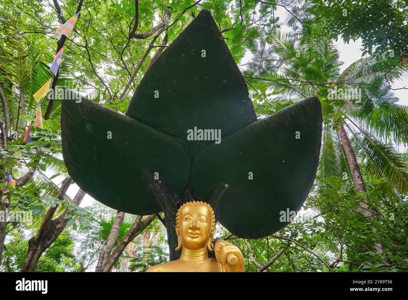 Ein riesiges Blatt, Teil eines figurativen Reliefs, Ikonenskulptur. Im Wat Phiavat in Vientiane, Laos Stockfoto