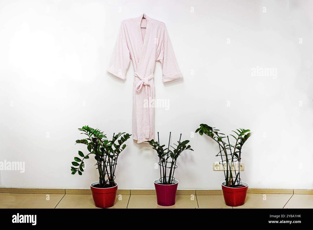 Kosmetikraum mit Bademantel und frischen Blumen in Töpfen Stockfoto