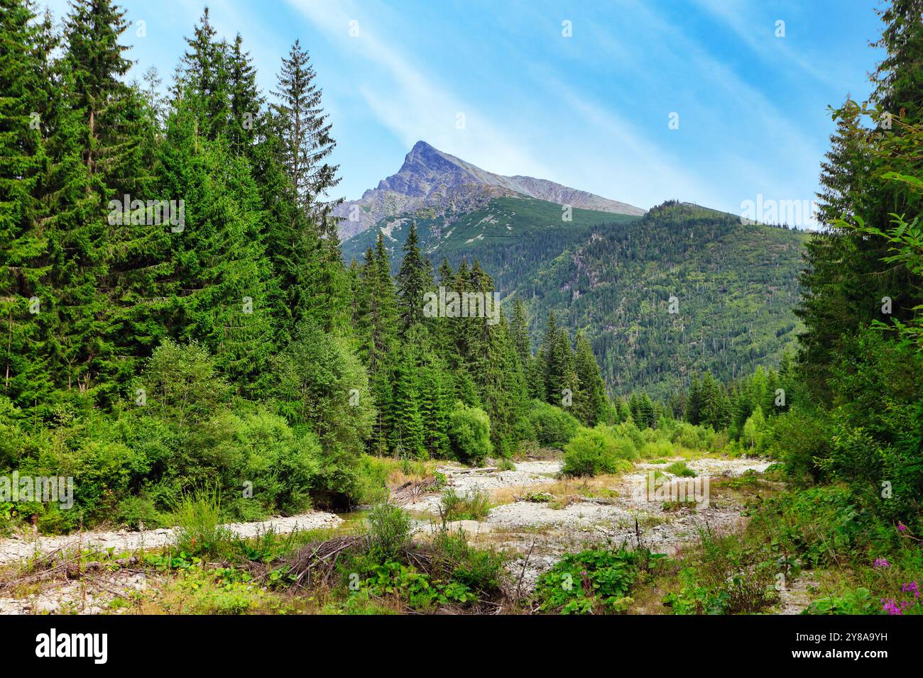 Herrliche Berglandschaft Krivan Gipfel Symbol der Slowakei in der Hohen Tatra, Slowakei Stockfoto