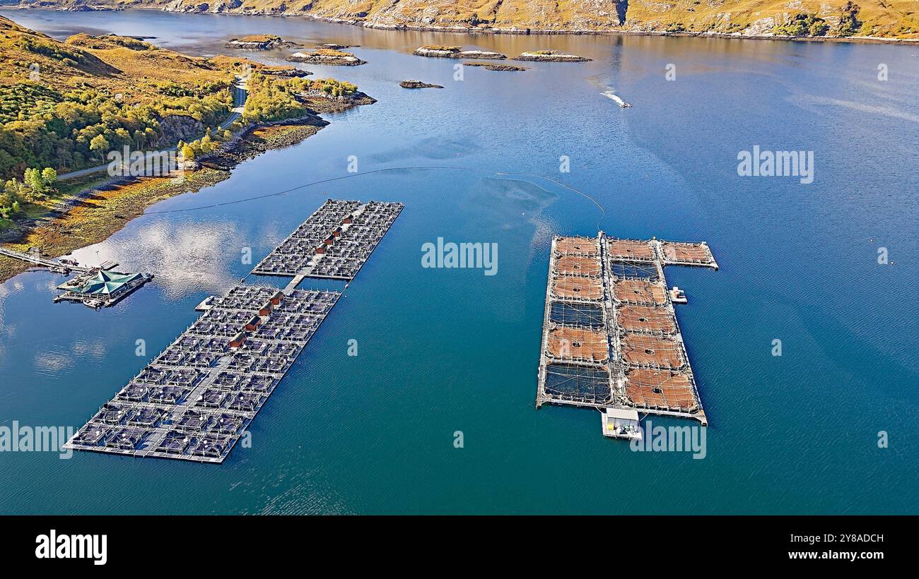 Loch Ailort Lochaber Schottland Reihen von Buchten in einer Fischfarm am oberen Ende des Loch Stockfoto