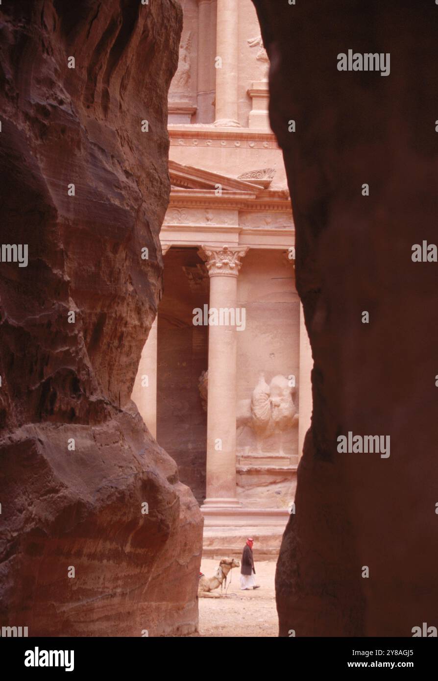 Kamel ruht vor Al Khazneh, Petra, Jordanien. Stockfoto