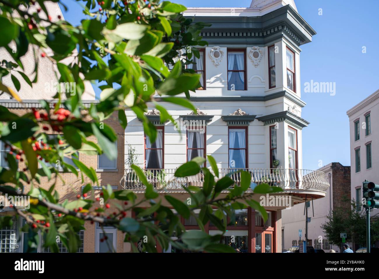 Vordergrundbaumzweige mit verziertem Gebäude im Hintergrund Stockfoto