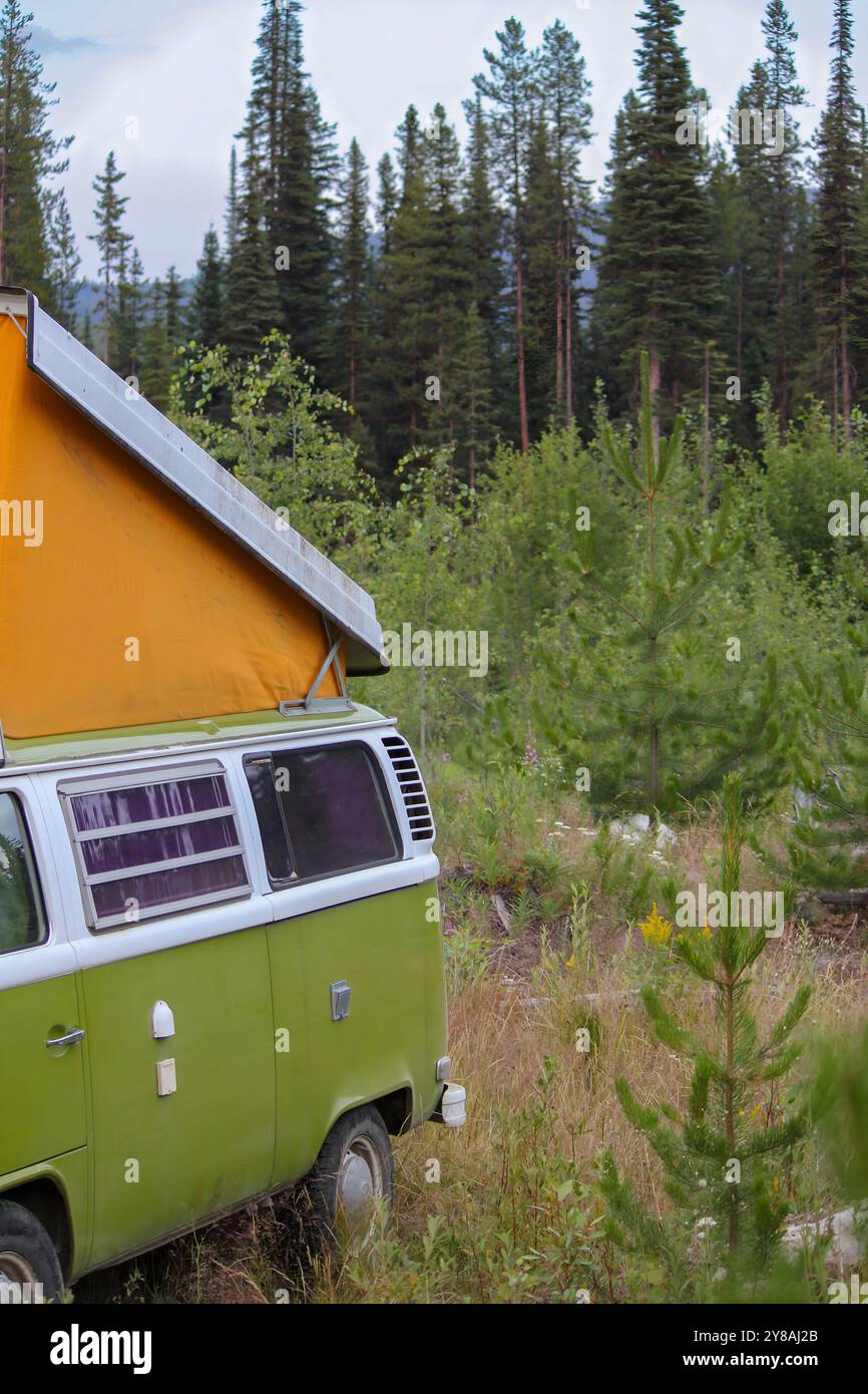 Ein klassischer grüner VW-Wohnmobil mit ausklappbarem Dach in einem bewaldeten Bereich Stockfoto
