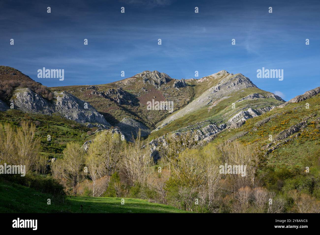 Parque Regional Montana de Riano y Mampodre, Berglandschaft in der Nähe von Salamon, Spanien, Kastilien und Leon, Cremenes Stockfoto