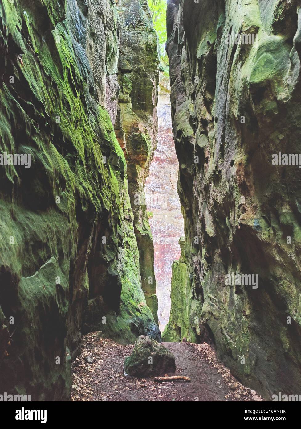 Enge Felsschlucht in einer imposanten Felsenlandschaft in einem natürlichen Wald, Luxemburgs kleine Schweiz, Luxemburg, kleine Luxemburgische Schweiz, Mue Stockfoto