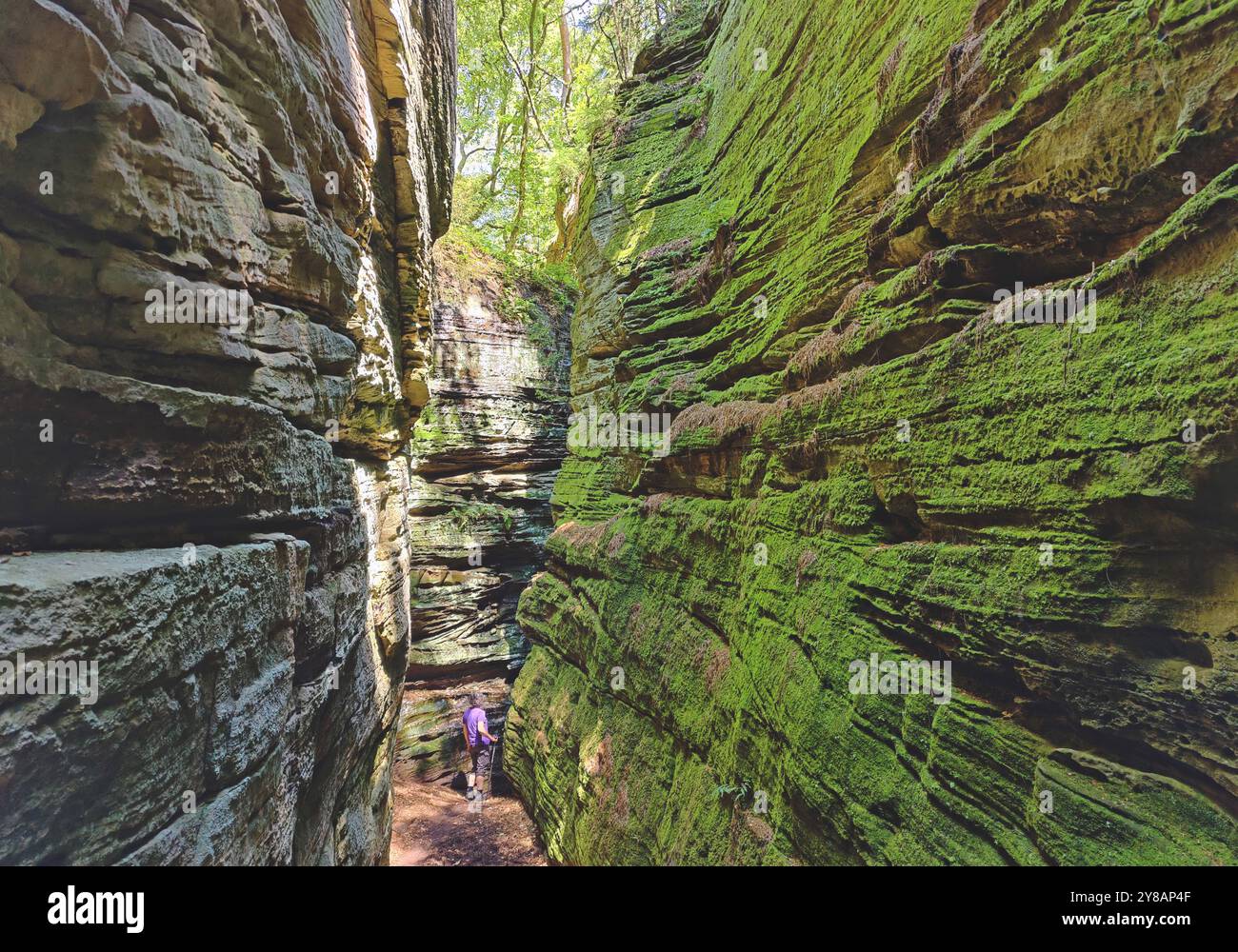 Tourist in der Schlucht Gruene Hoelle aus rotem Sandstein im Sauerschweiz bei Bollendorf, Deutschland, Rheinland-Pfalz, Naturpark Suedeifel, Irre Stockfoto