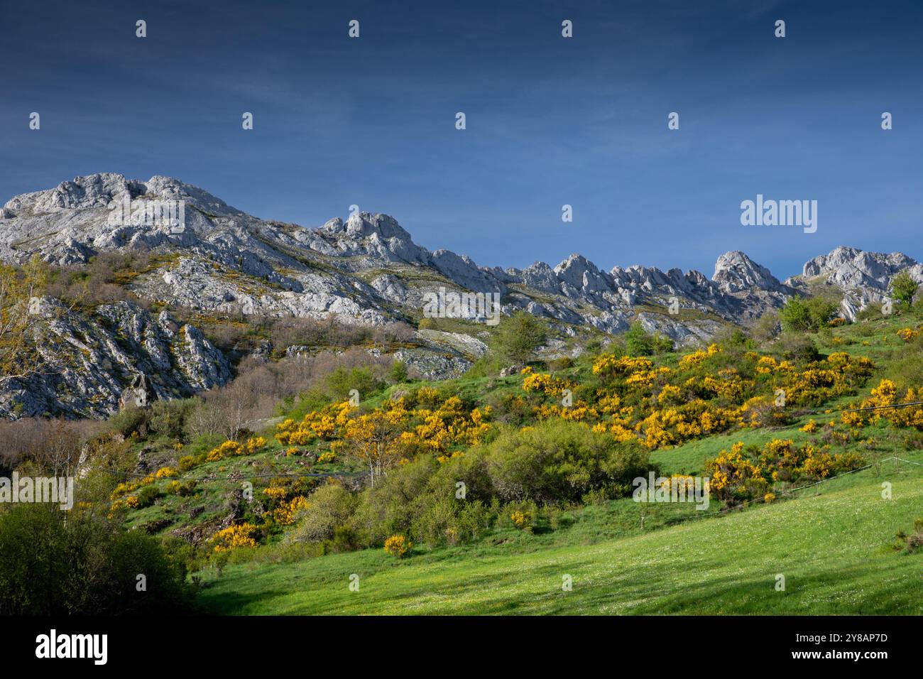 Parque Regional Montana de Riano y Mampodre, Berglandschaft in der Nähe von Salamon, Spanien, Kastilien und Leon, Cremenes Stockfoto