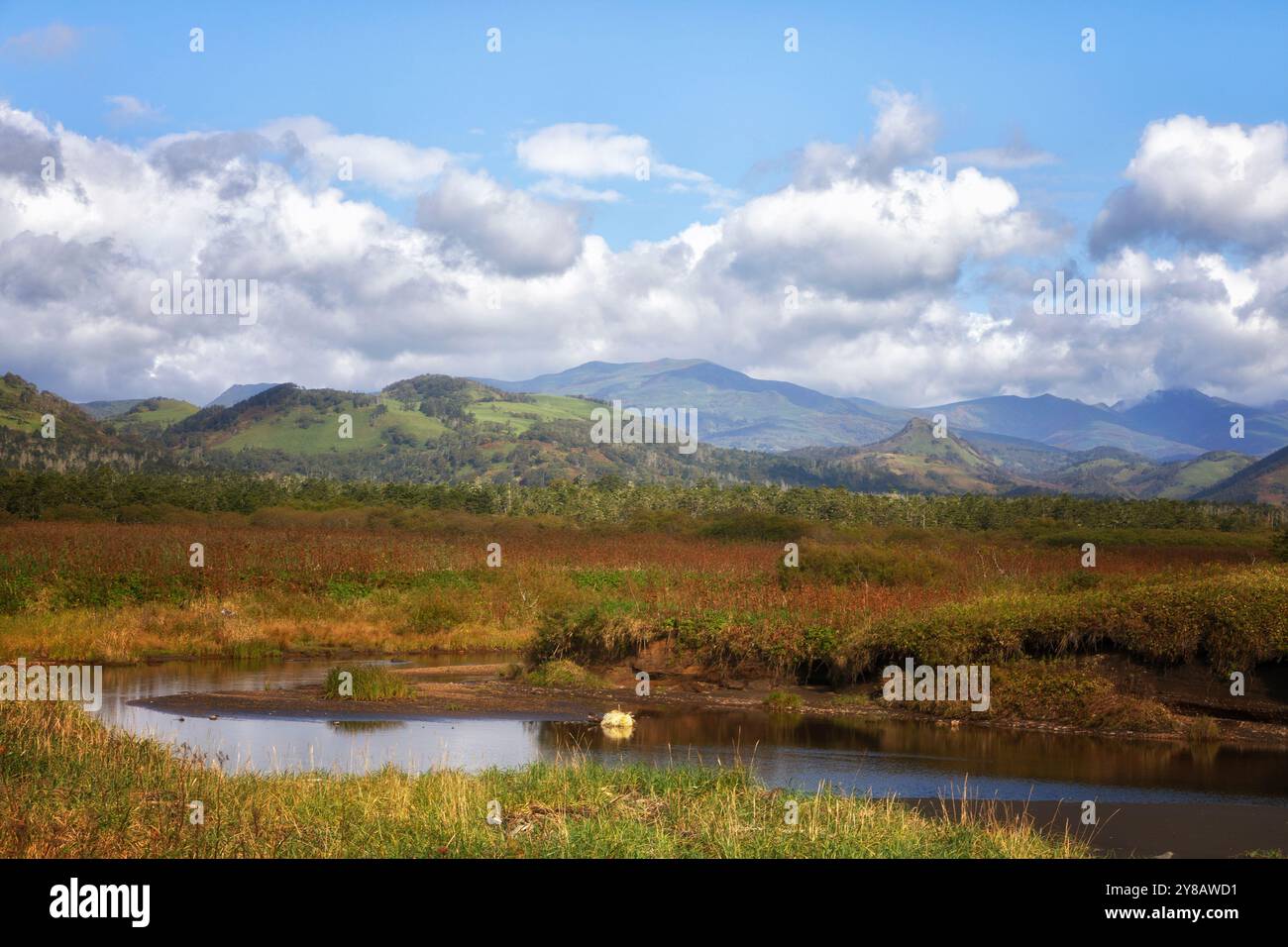 Herbstlandschaft mit einem Fluss. Kunashir Island, Südkuriles Stockfoto