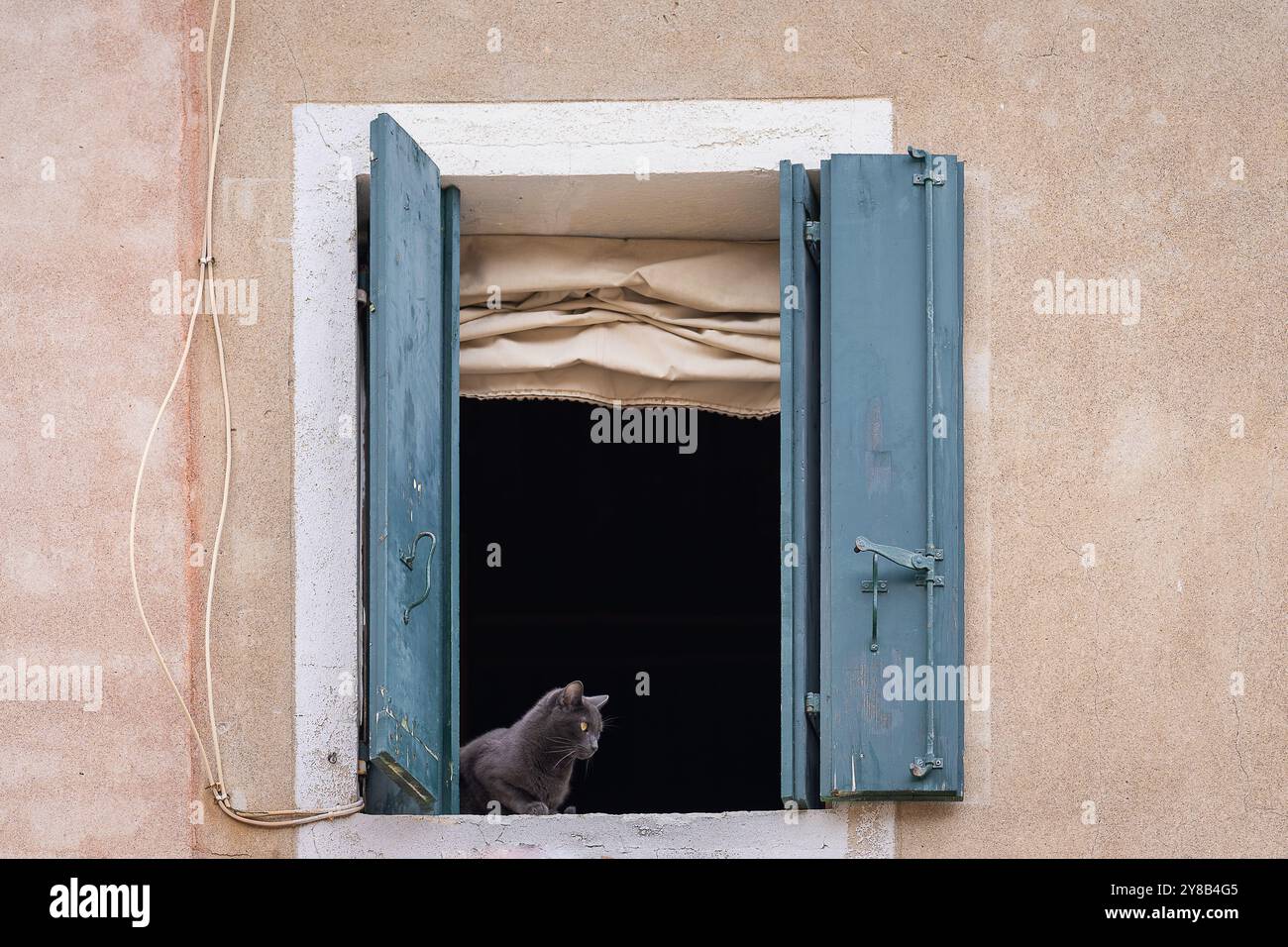 Dunkelgraue Katze, die in Venedig in einem offenen Fenster sitzt. Offenes Fenster mit Fensterläden, römischen Jalousien und dunkelgrauer Katze. Stockfoto