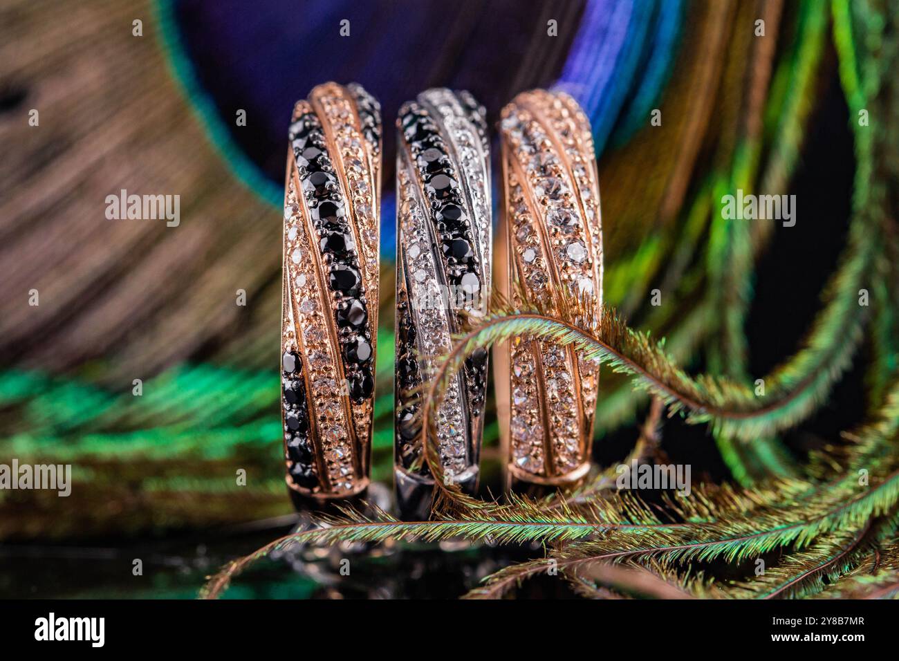 Ein Satz mit drei Ringen. Schmuck auf dem Hintergrund von Pfauenfedern. Drei Ringe mit Steinen. Goldene und silberne Eheringe. Stockfoto
