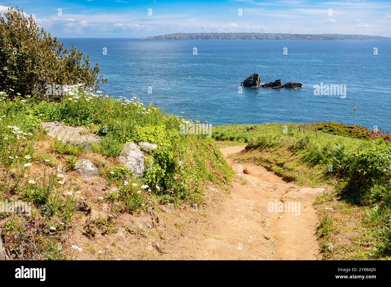 Küstenpfad mit Wildblumen im Sommer an der Südostküste der Insel Herm, Guernsey, Kanalinseln, Großbritannien, Europa. Sark in der Ferne Stockfoto