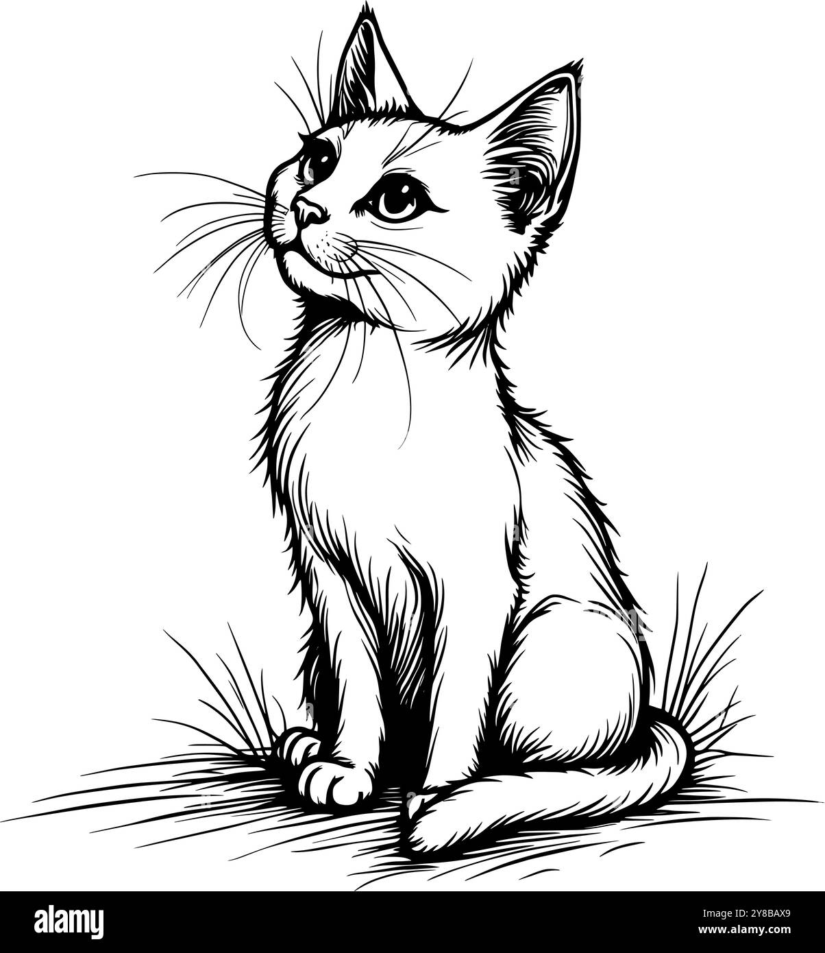 Eine detaillierte Strichgrafik-Illustration eines neugierigen Kätzchens, das auf einer grasbewachsenen Oberfläche sitzt. Stock Vektor