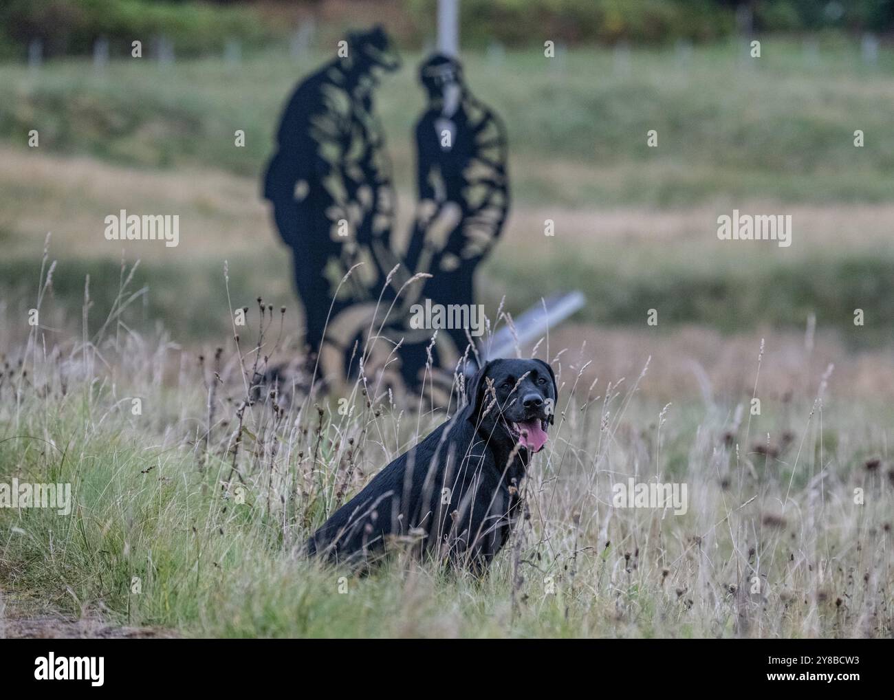 The Boom Beach, Loch Ewe, Mellon Charles, Wester Ross, Schottland Stockfoto