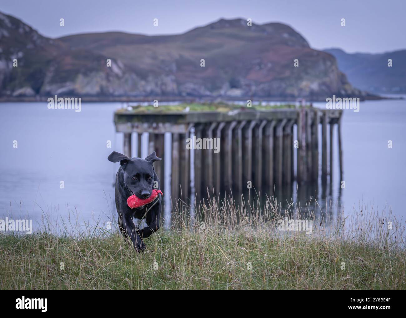 The Boom Beach, Loch Ewe, Mellon Charles, Wester Ross, Schottland Stockfoto