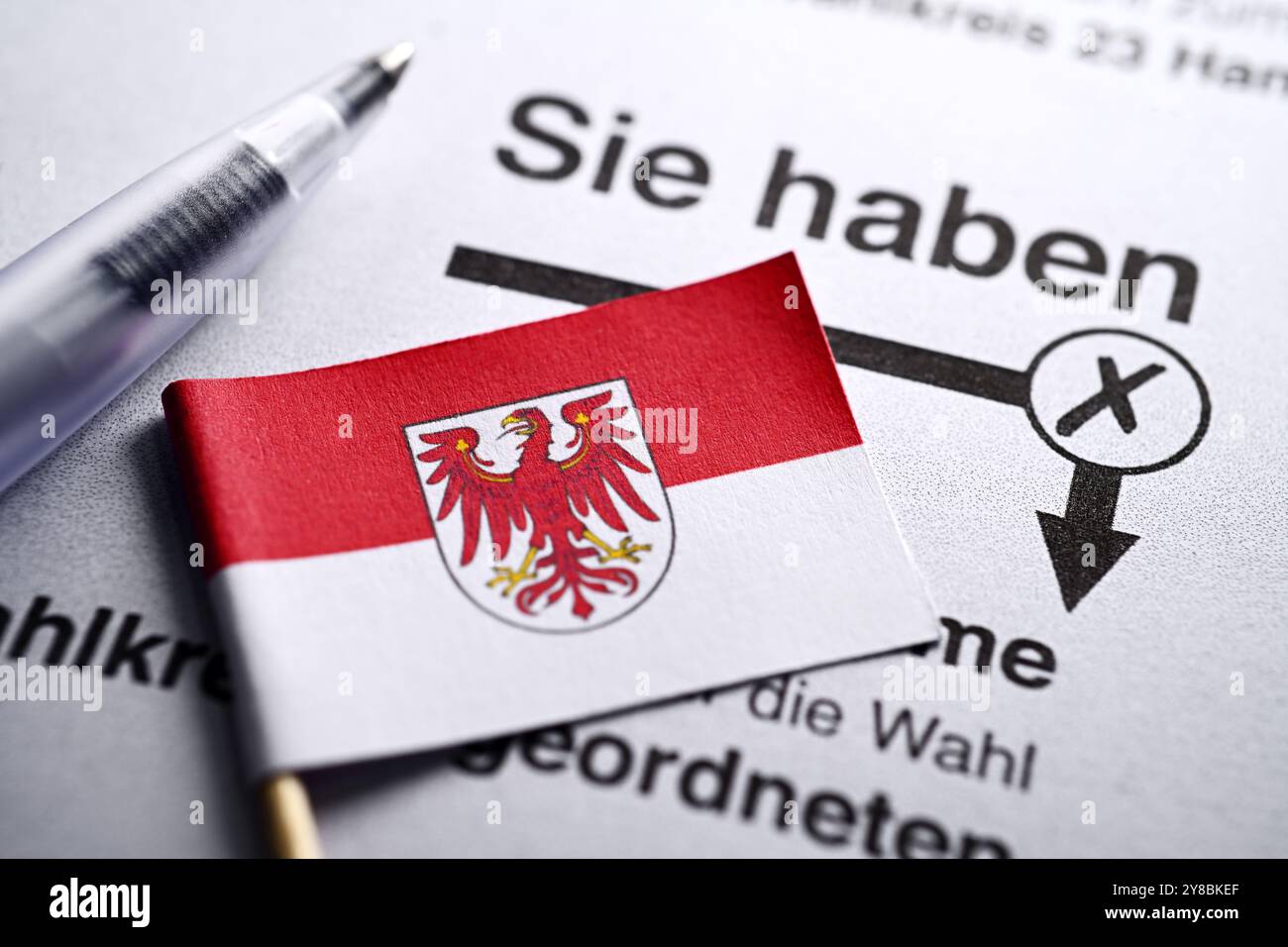 Flagge Brandenburgs auf einem Stimmzettel, symbolisches Foto der Landtagswahl in Brandenburg, Fahne von Brandenburg auf einem Stimmzettel, Symbolfoto La Stockfoto