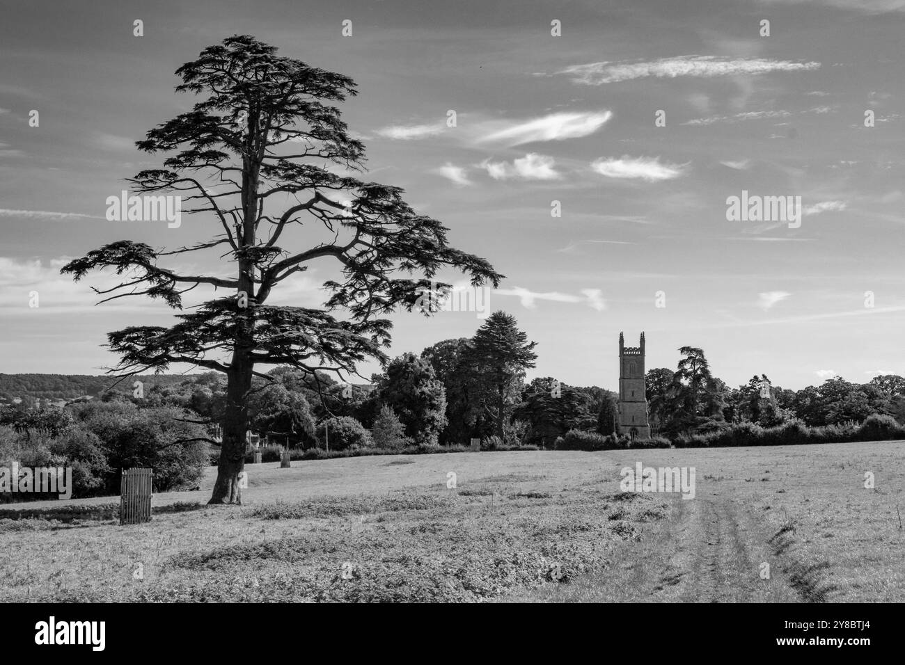 Blick über die Felder zur St. Leonards' Church, Tortworth, Gloucestershire Stockfoto