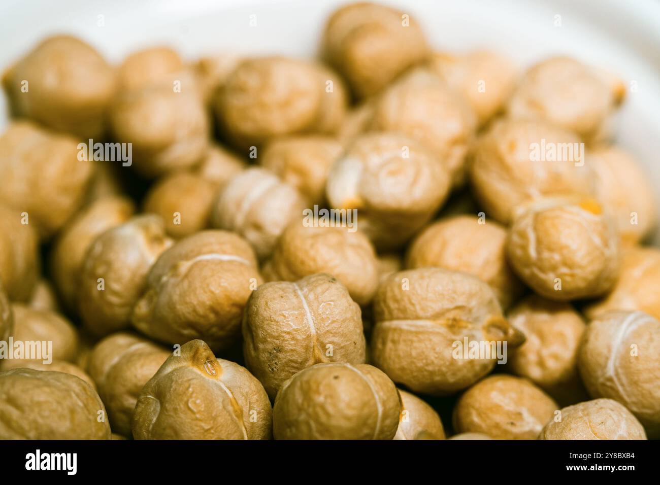 Kichererbsenkörner, ägyptische Erbsen. Bengalgramm Nahaufnahme, Textur, Makro. Stockfoto