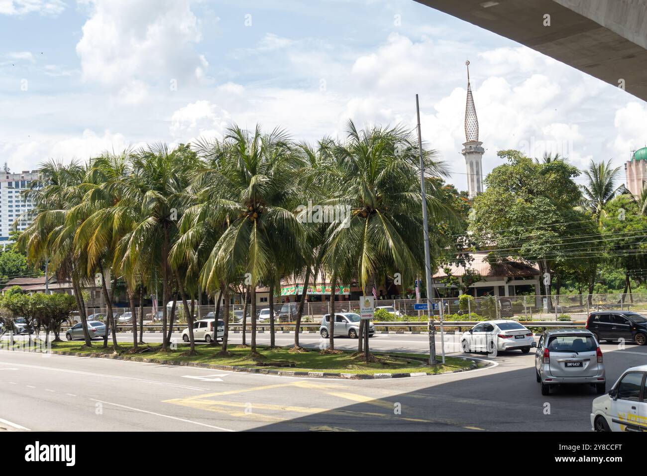Palmen, Klang, Malaysia Stockfoto
