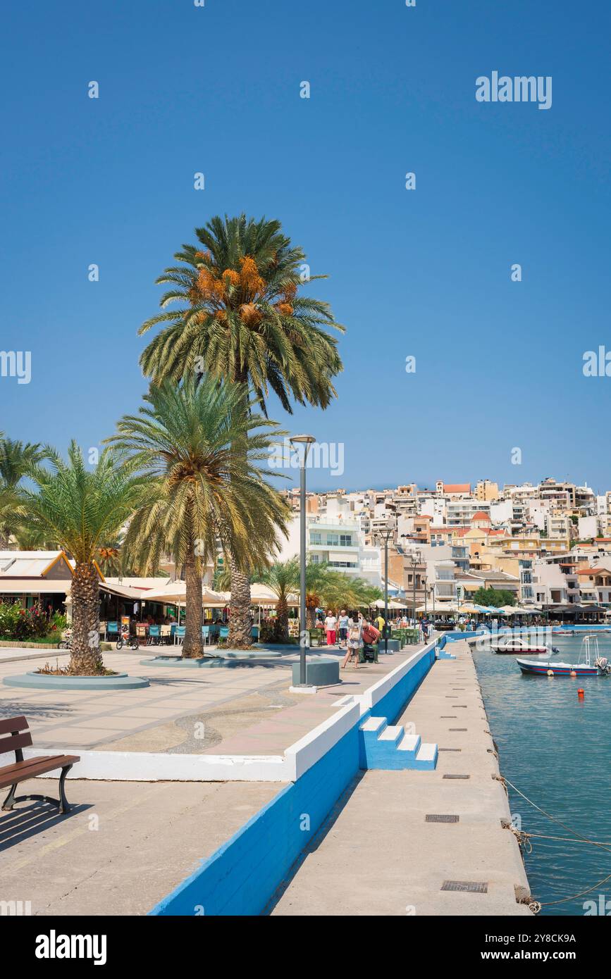 Sitia Bay Kreta, Blick im Sommer auf die Hafenpromenade in Sitia, Lasithi, Griechenland Stockfoto