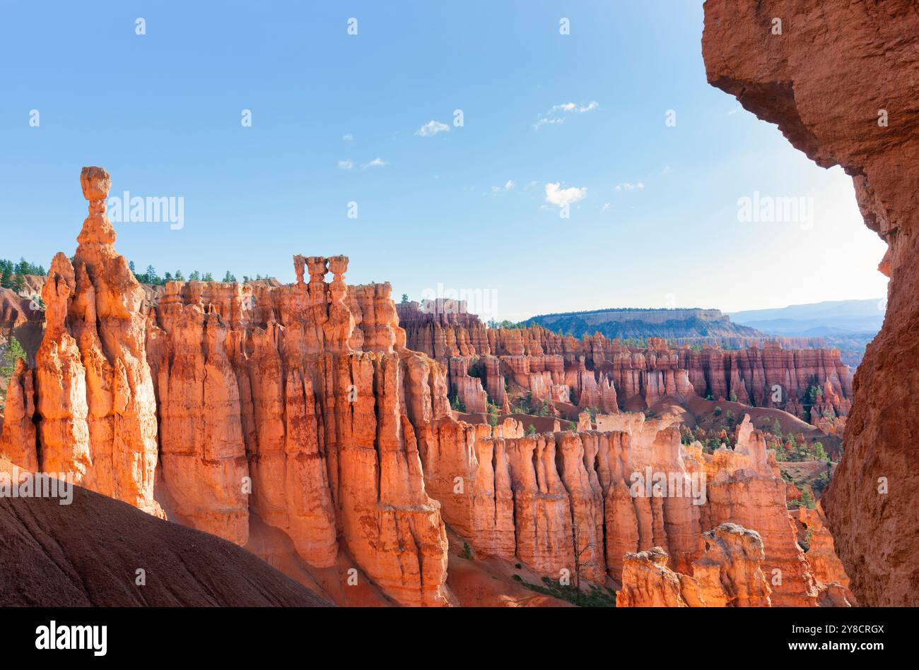 Bryce-Canyon-Nationalpark, Utah, USA Stockfoto