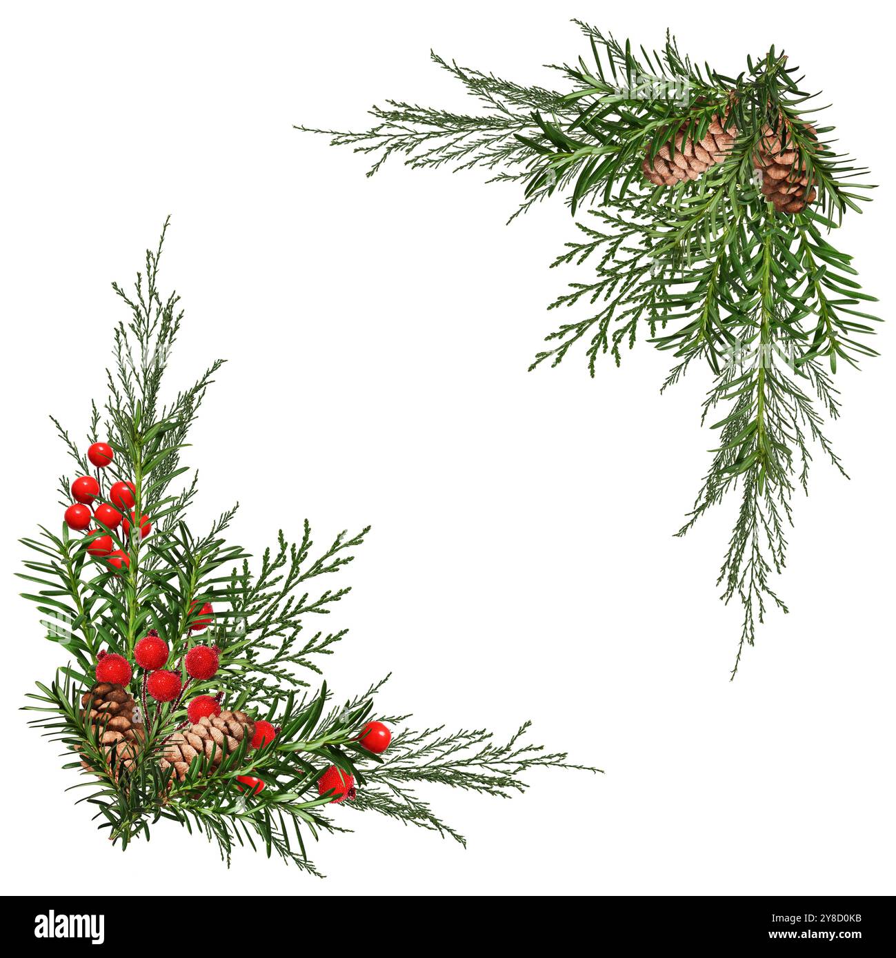 Weihnachtsarrangements in der Ecke. Nadelzweige mit Kegeln sind mit künstlichen roten Beeren verziert. Stockfoto