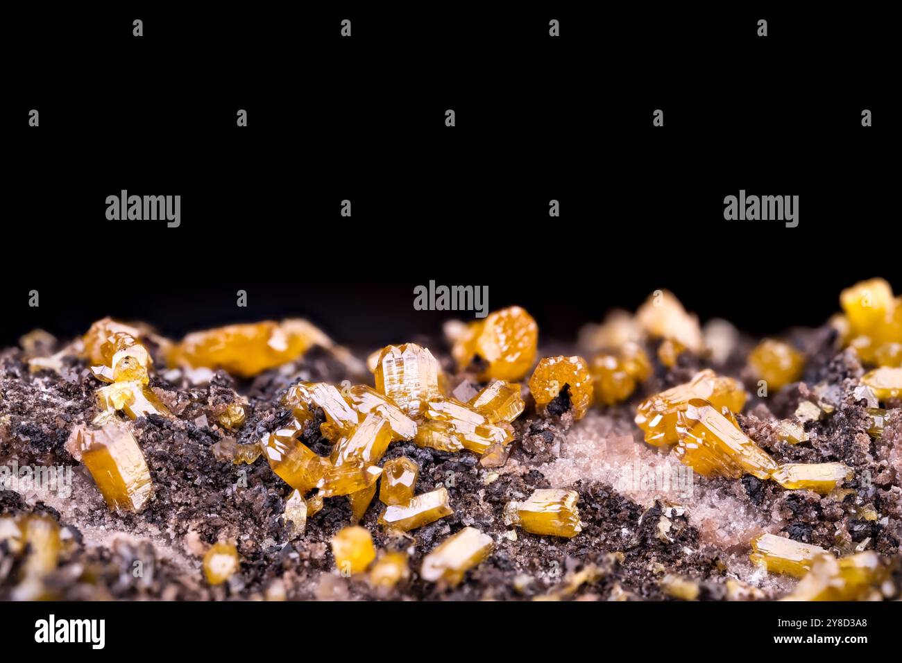 Gelbe Mimetitkristalle auf Dolomit. Exemplar aus der Mine Potosí, Aquiles Serdán, Mexiko. Makrofotografie Detail Textur Hintergrund. Nahaufnahme Mineral Stockfoto